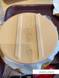 【群馬 横川SA上り】レトロな電車🚃とおぎのやの釜めし🥢