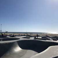 venice beaches 