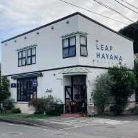 【葉山】雑貨と家具のお店 \ LEAF HAYAMA /
