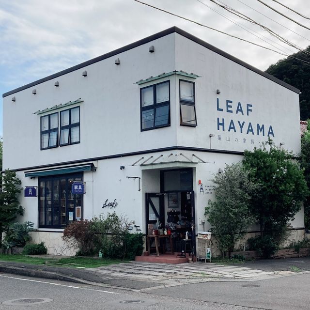 【葉山】雑貨と家具のお店 \ LEAF HAYAMA /