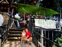 ร้านกาแฟ บนต้นไม พังงา☕️🥤🍰🧁