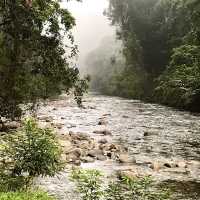 The Pinnacles - Mulu National Park, MZV