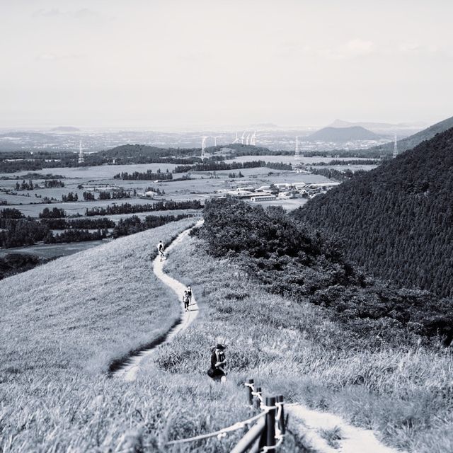 📸 오름에 올라 제주를 바라보다, 새별오름 [흑백뷰]