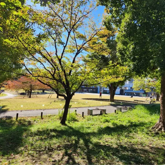 도쿄 산책의 명소 sumida park
