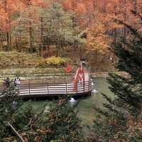 Autumn Season in Daejeon City