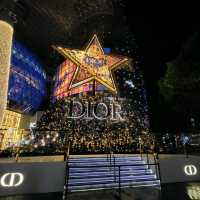 The Great  Christmas Light-Up