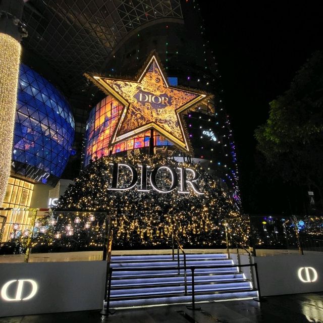 The Great  Christmas Light-Up