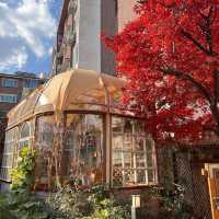 韓国/ソウル【江北区】紅葉🍁が綺麗な一軒家カフェ💛