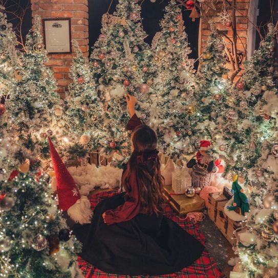 크리스마스 포토존이 한가득인 카페 원주 사진정원🎄🎅🏻