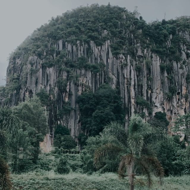 Trip Jungle Train In Malaysia 