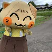 岐阜県中津川市　蕎麦の花