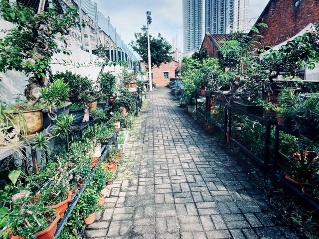 歷史建築打咭點@牛棚藝術村