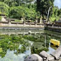 성수로 죄를 씻어낼 수 있는곳: 띠르따엠플사원