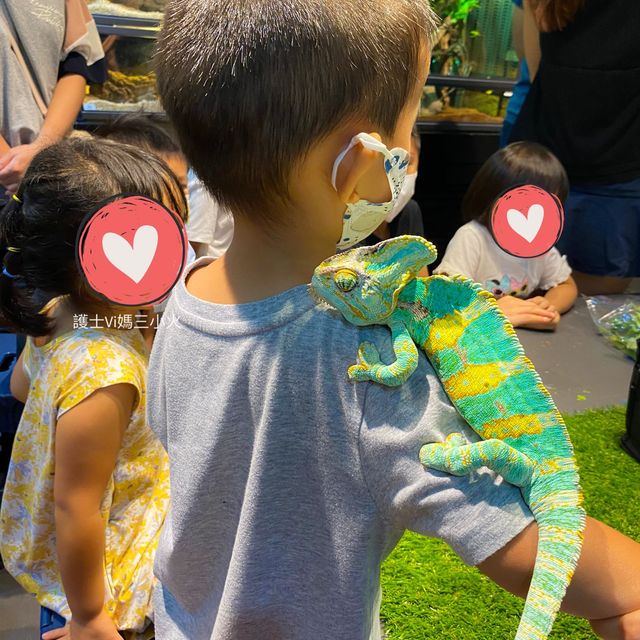 《近距離接觸爬蟲類動物》