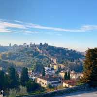 Florence Skyline 