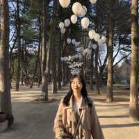 한류의 시작점, 겨울연가의 촬영지 남이섬