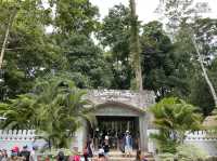 ตาดร้อยครัว ຕາດຮ້ອຍຄົວ Green Jungle Park