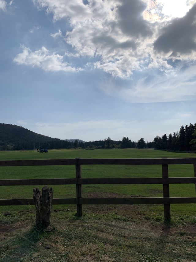 [성이시돌목장] 이국적인 제주 목장🐴