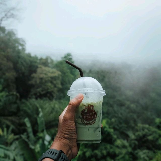 ทิวเขา Coffee คาเฟ่ ที่วิวสวย และปังที่สุดอีกแห่ง 