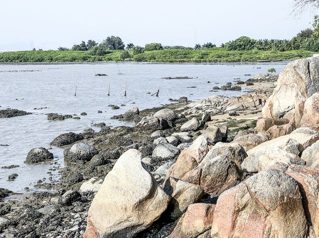 最美海景 下白泥