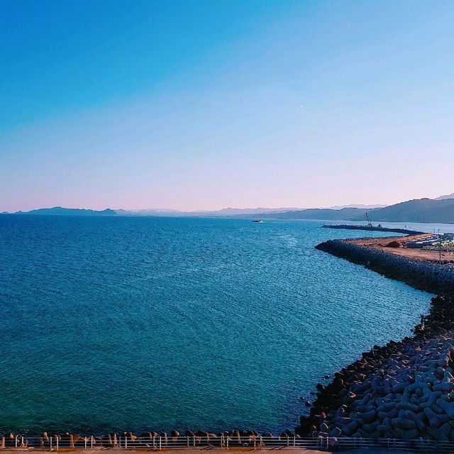 청량한 바다가 매력적인 곳, 울진🌊