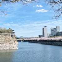 【大阪府】大阪城で歴史探訪！