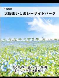 絶景！GWが見頃のお花畑スポット7選