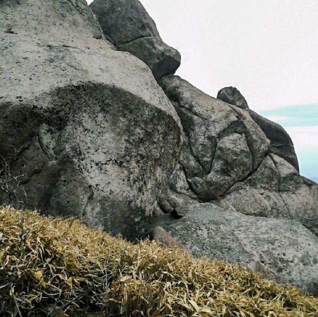 속리산등산 봄여행