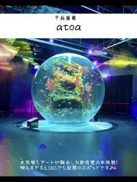雨の日に行きたい！水族館7選