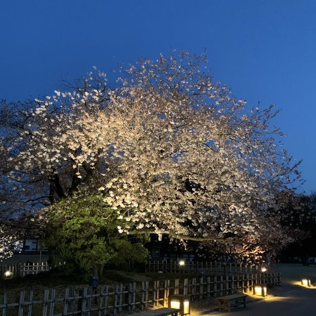 金沢城