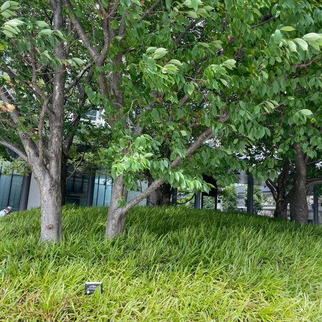 うめきた広場
