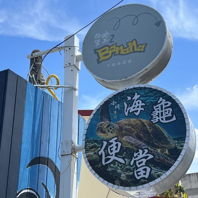 在小琉球每天都被海龜🐢包圍好開心🥳