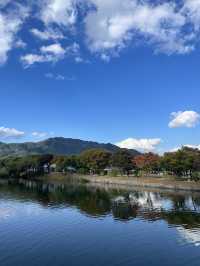 제천에 가면 꼭 들려야하는 필수코스🍁
