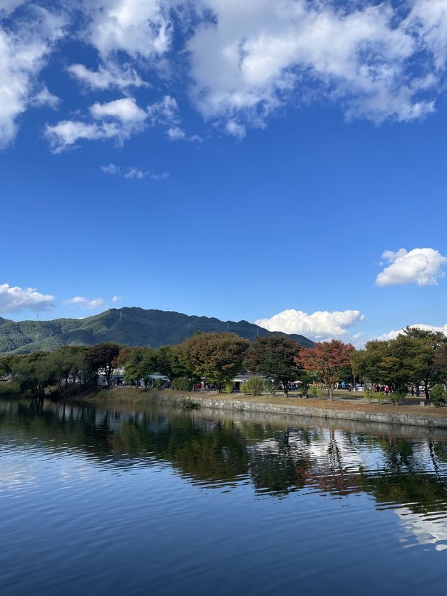 제천에 가면 꼭 들려야하는 필수코스🍁