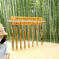 Juknokwon Bamboo Forest