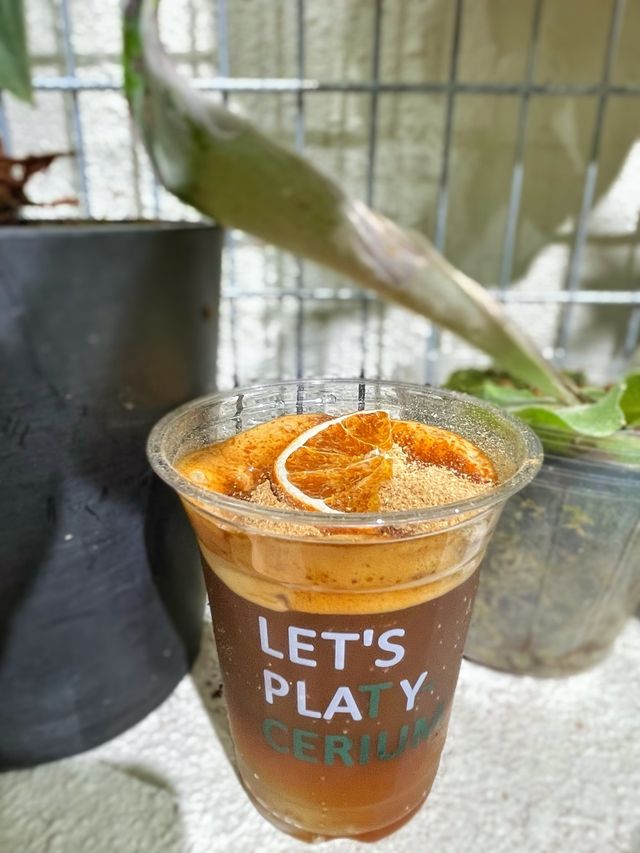長洲超特別植物餐廳🌳 特色陳皮咖啡☕️