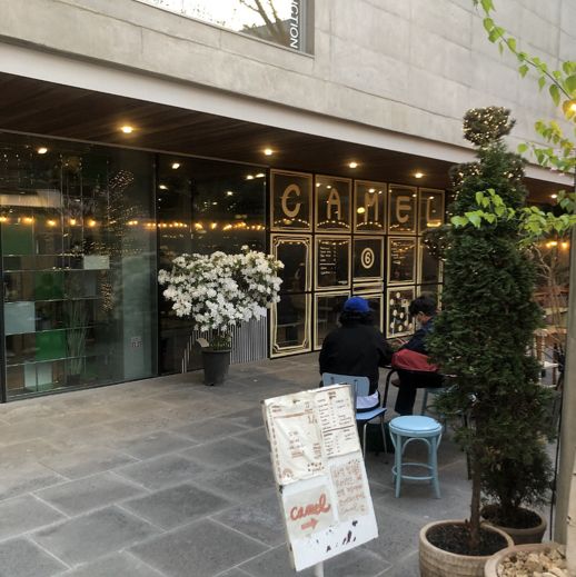 한번쯤 꼭 가봐야하는 도산공원[카멜커피]