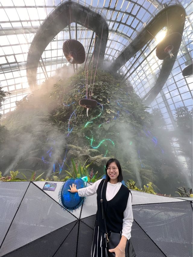 Avatar: The Immersive Experience!