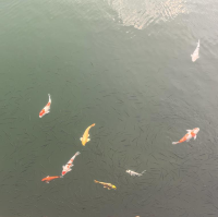 大潭水塘
