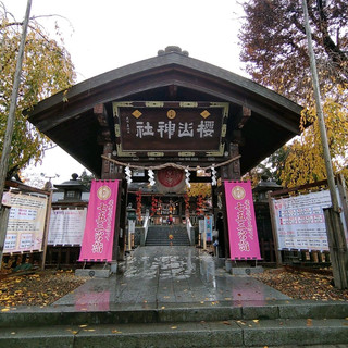 岩手県！櫻山神社