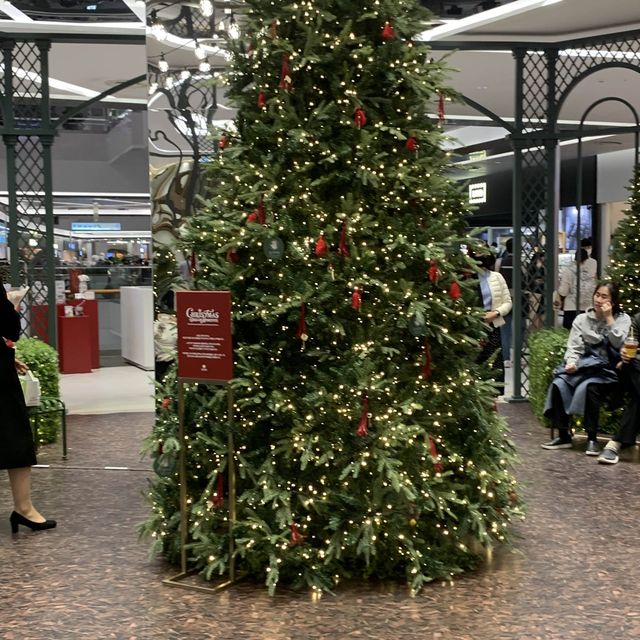 크리스마스 시즌 실내 데이트는 롯대백화점에서🎄