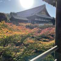 【京都府】通天橋から望む絶景の紅葉