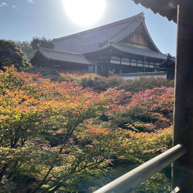 【京都府】通天橋から望む絶景の紅葉