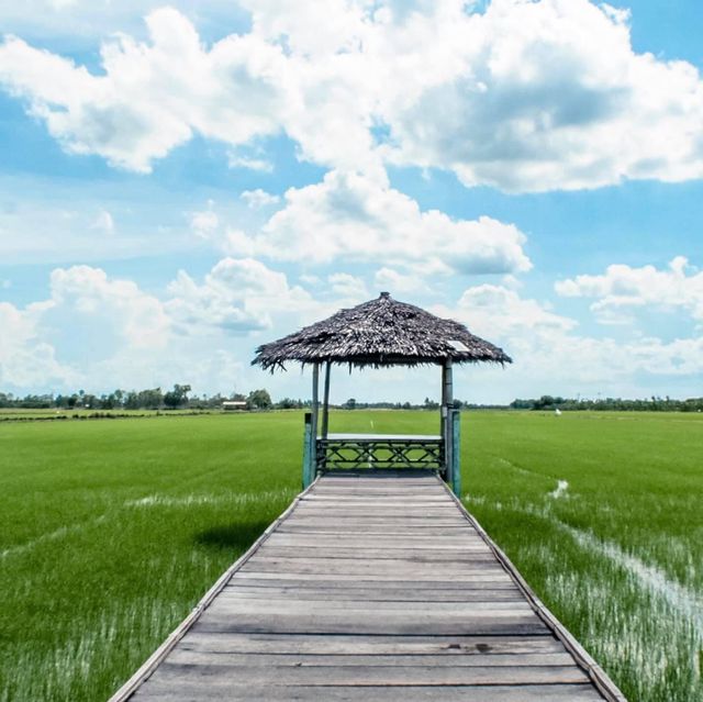 One day trip ณ นครปฐม
