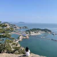 바다를 가르는 도로를 볼 수 잇는 군산 대장봉