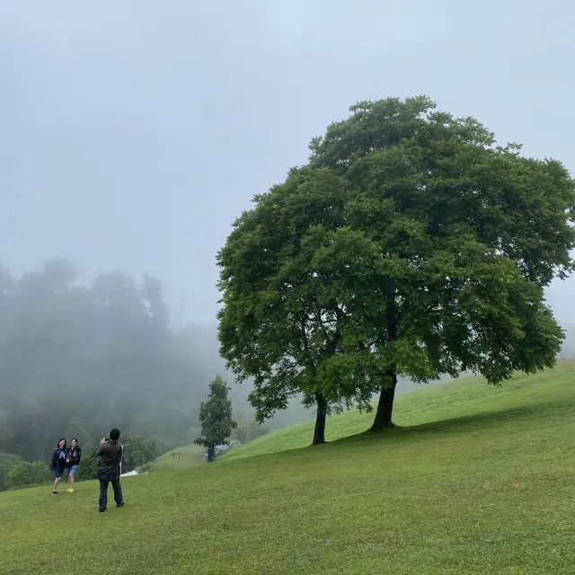 ดอยเสมอดาว ⛰️💫