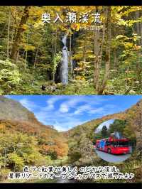【青森】行ってよかった青森の観光スポット7選🍁