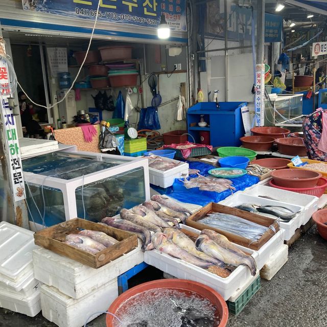  서산 동부시장에서 겨울 제철 수산물 털이!💙