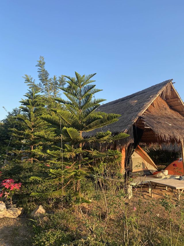 ภูชมตะวัน@บ้านซำตะเคียน สายแคมป์ห้ามพลาดด 🏕️