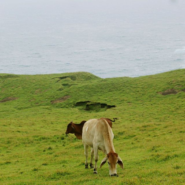 Breathtaking Batanes